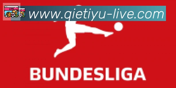 企鹅体育直播合作伙伴